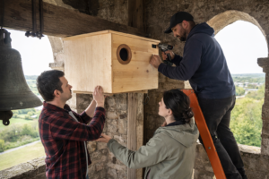 installation nichoir clocher