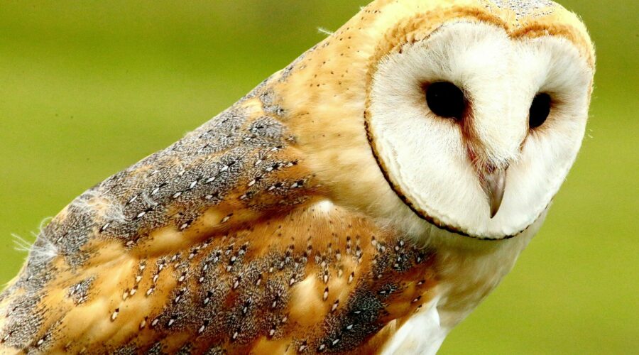 james wainscoat zgj3kmdxugy unsplash